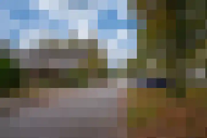 Esveldsdijk 4 Harfsen thumbnail 34