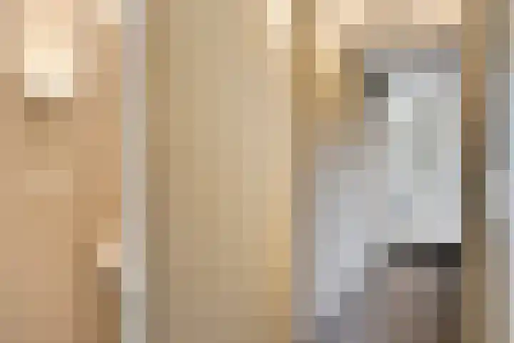Esveldsdijk 4 Harfsen thumbnail 34