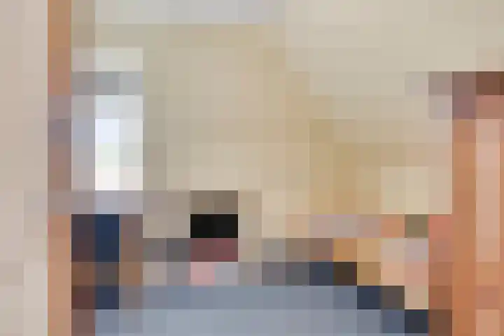 Esveldsdijk 4 Harfsen thumbnail 35