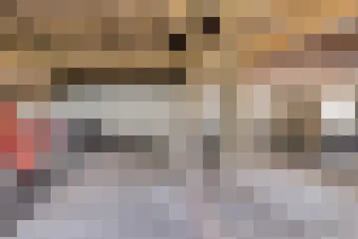 Esveldsdijk 4 Harfsen thumbnail 40