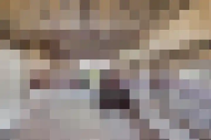 Esveldsdijk 4 Harfsen thumbnail 41