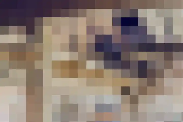 Esveldsdijk 4 Harfsen thumbnail 43