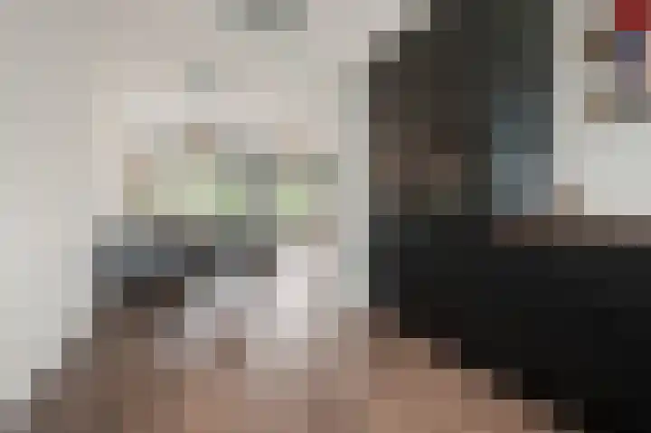 Esveldsdijk 4 Harfsen thumbnail 45