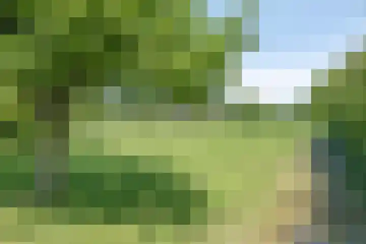 Esveldsdijk 4 Harfsen thumbnail 45
