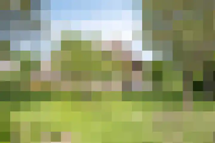 Esveldsdijk 4 Harfsen thumbnail 48