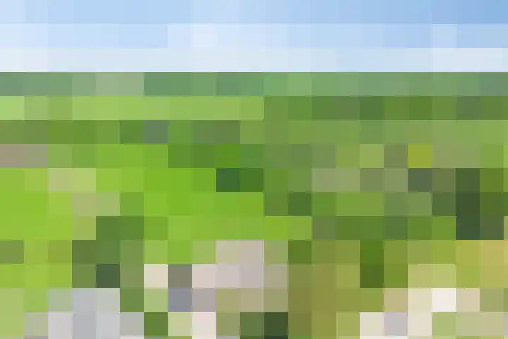 Esveldsdijk 4 Harfsen thumbnail 50
