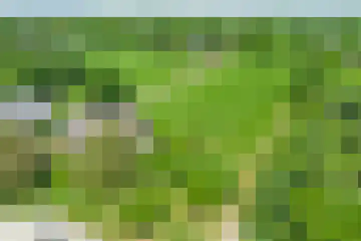 Esveldsdijk 4 Harfsen thumbnail 51