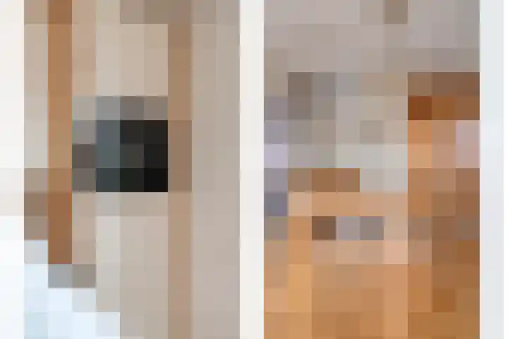 Esveldsdijk 4 Harfsen thumbnail 52