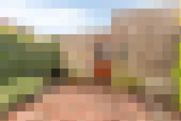 Esveldsdijk 4 Harfsen thumbnail 54