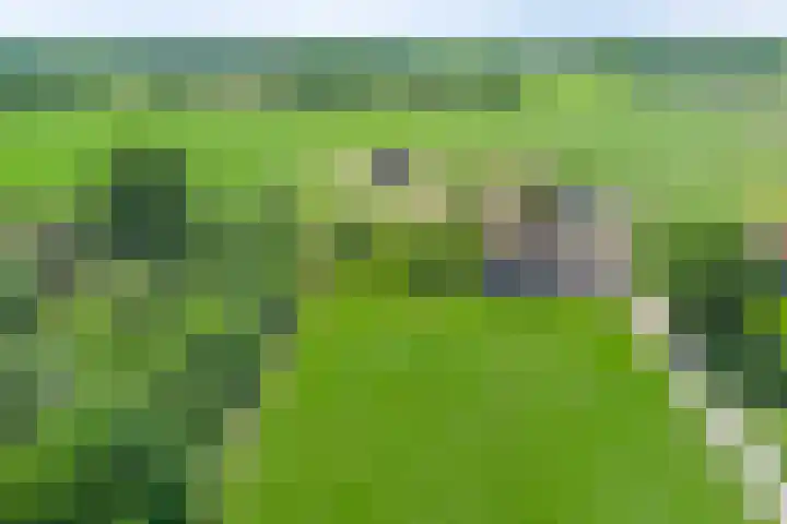 Esveldsdijk 4 Harfsen thumbnail 55