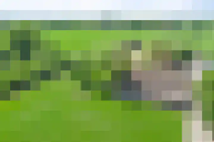 Esveldsdijk 4 Harfsen thumbnail 58