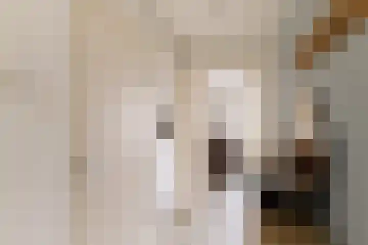 Esveldsdijk 4 Harfsen thumbnail 59