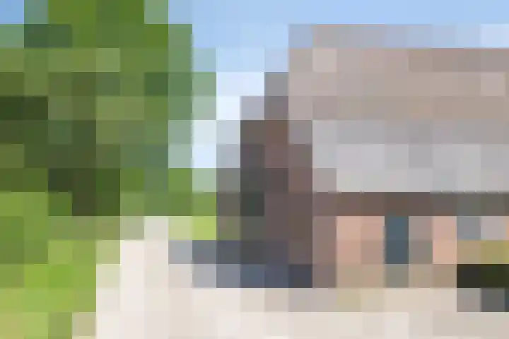 Esveldsdijk 4 Harfsen thumbnail 6