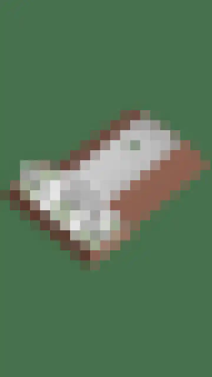 Esveldsdijk 4 Harfsen thumbnail 62