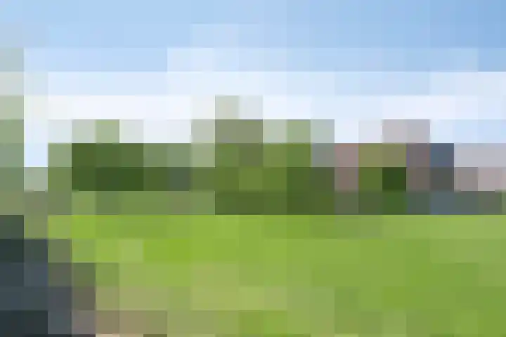 Esveldsdijk 4 Harfsen thumbnail 9