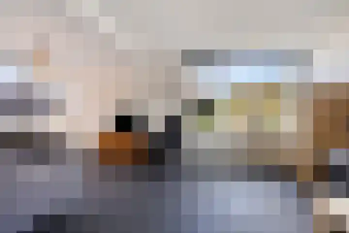 Eswal 47 Rolde thumbnail 13