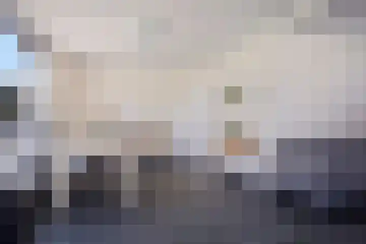 Eswal 47 Rolde thumbnail 16