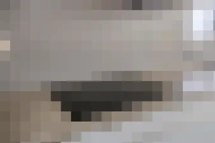 Eswal 47 Rolde thumbnail 23