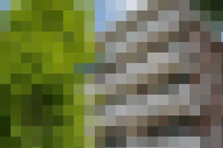 Eswal 47 Rolde thumbnail 4