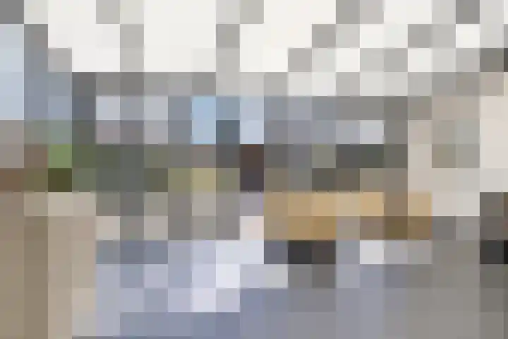 Eswal 47 Rolde thumbnail 4