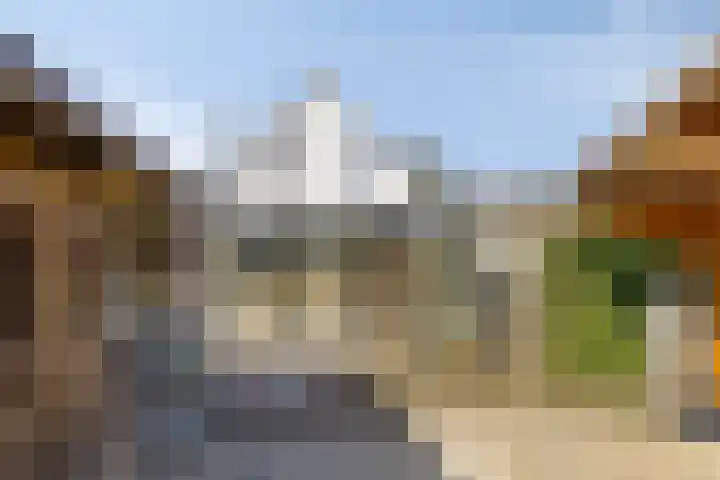 Eswal 47 Rolde thumbnail 51
