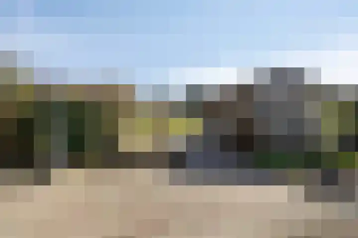 Eswal 47 Rolde thumbnail 52