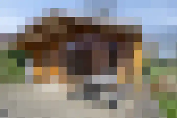 Eswal 47 Rolde thumbnail 54