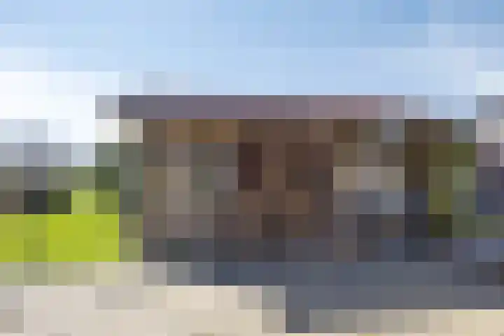 Eswal 47 Rolde thumbnail 59