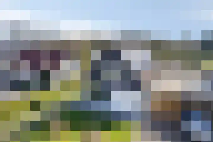 Eswal 47 Rolde thumbnail 7