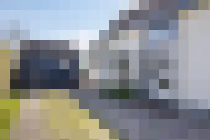 Eswal 47 Rolde thumbnail 8