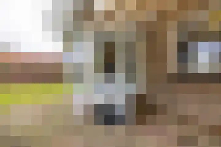 Esweg 28 Peize thumbnail 35
