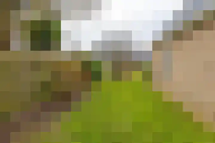 Esweg 28 Peize thumbnail 38