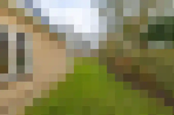 Esweg 28 Peize thumbnail 39