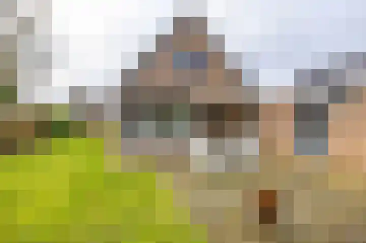 Esweg 28 Peize thumbnail 4