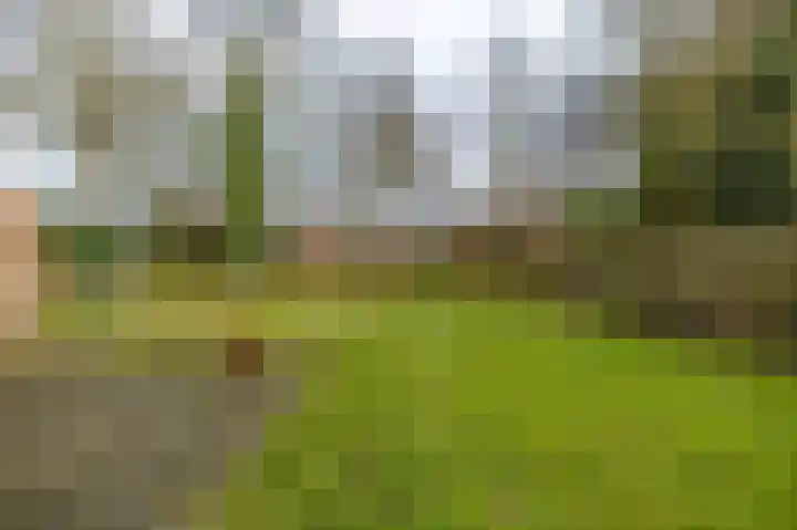 Esweg 28 Peize thumbnail 40