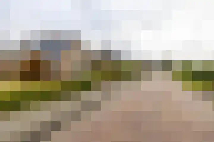 Esweg 28 Peize thumbnail 42