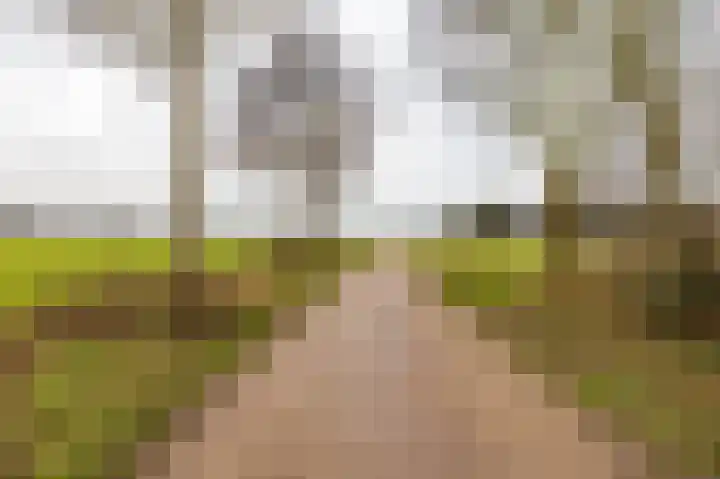 Esweg 28 Peize thumbnail 44