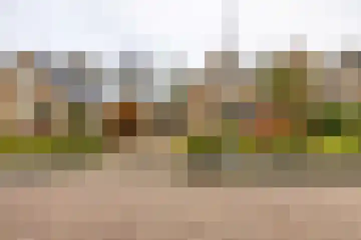 Esweg 28 Peize thumbnail 6