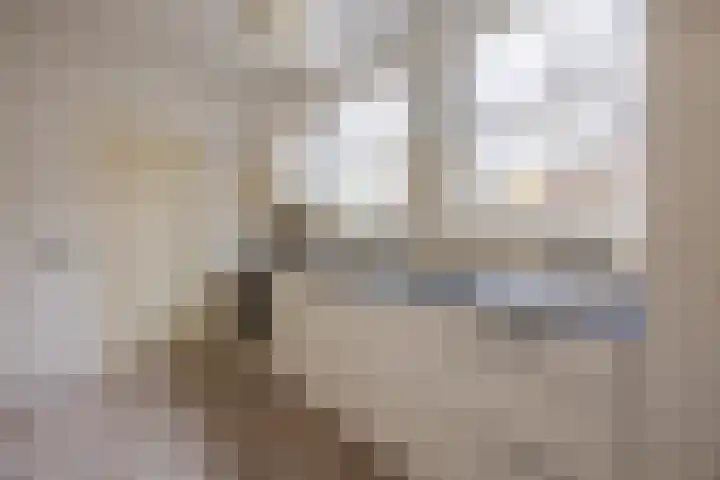 Esweg 4 a Den Ham thumbnail 13