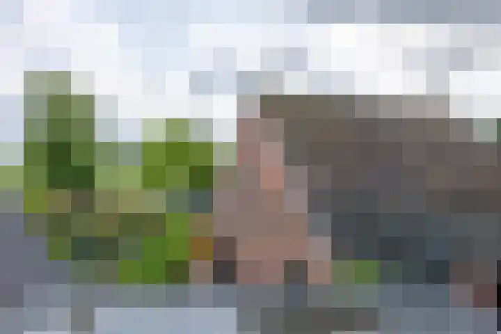 Esweg 4 a Den Ham thumbnail 23