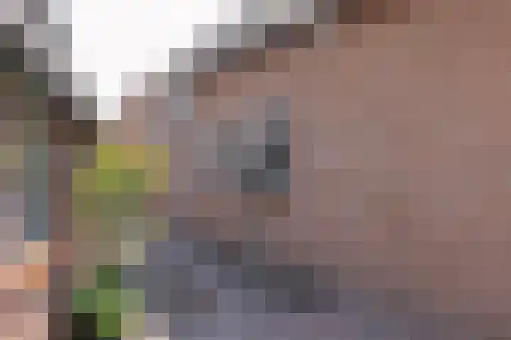 Esweg 4 a Den Ham thumbnail 30