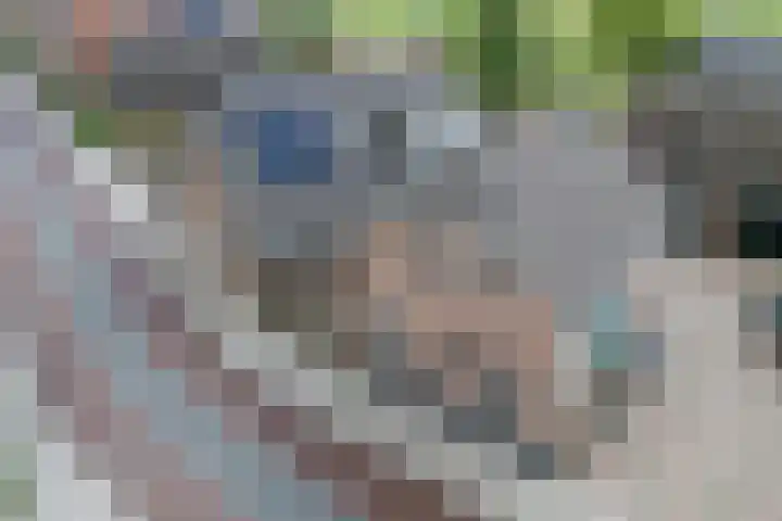Esweg 4 a Den Ham thumbnail 34
