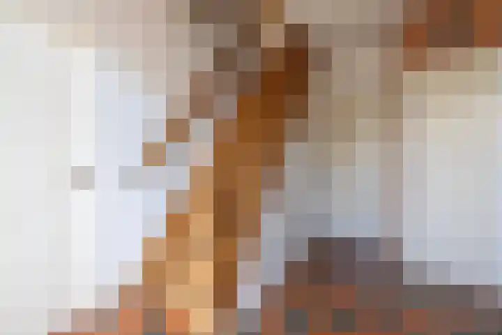 Esweg 4 a Den Ham thumbnail 5