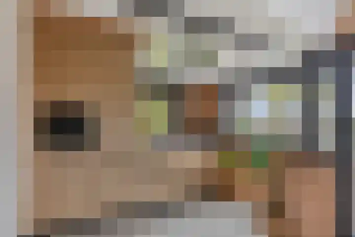Esweg 4 Dwingeloo thumbnail 10