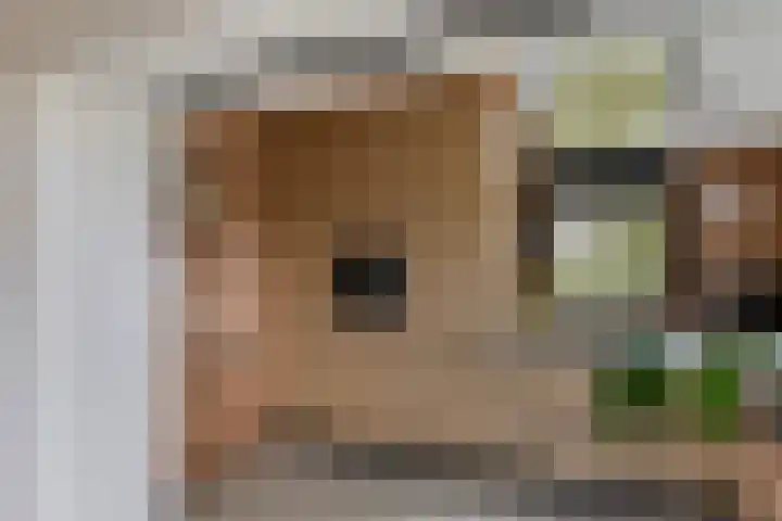 Esweg 4 Dwingeloo thumbnail 11