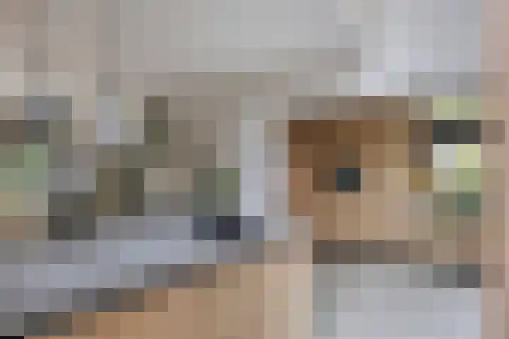 Esweg 4 Dwingeloo thumbnail 12