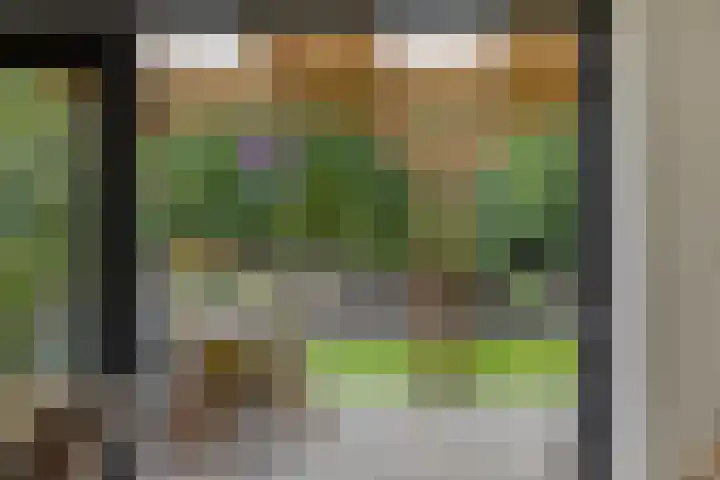 Esweg 4 Dwingeloo thumbnail 14