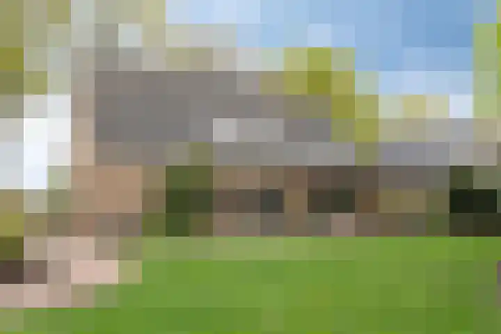 Esweg 4 Dwingeloo thumbnail 28