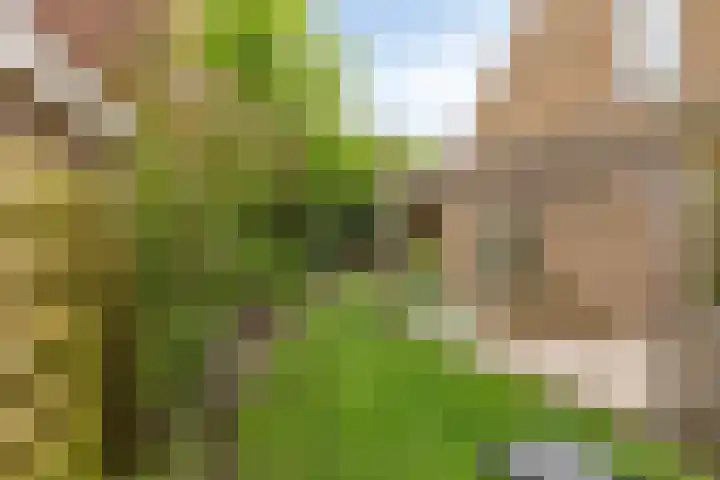 Esweg 4 Dwingeloo thumbnail 31