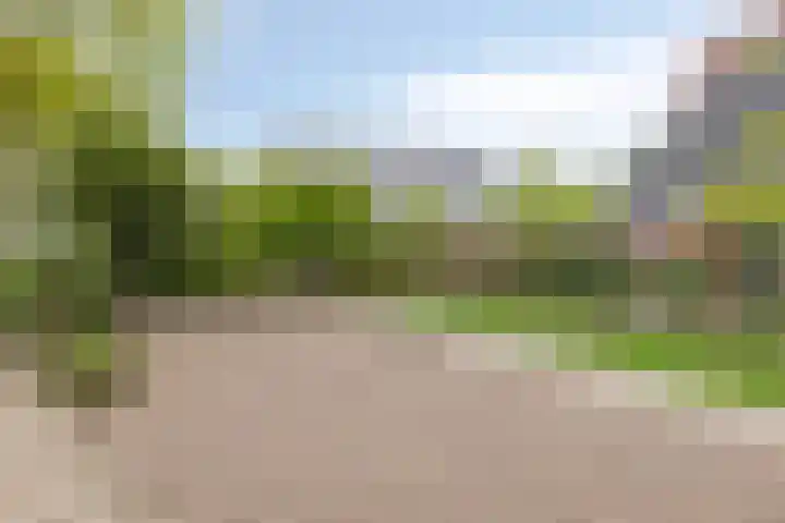Esweg 4 Dwingeloo thumbnail 33